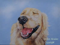 Pet Original Paintings