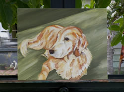 Old Golden Retriever Original Oil Painting