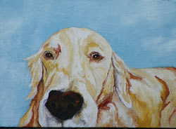 Golden Retriever Original Oil Painting