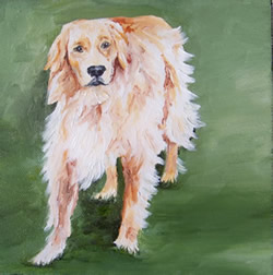 Beloved Golden Retriever Original Oil Painting