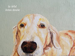 Golden Retriever Original Oil Painting