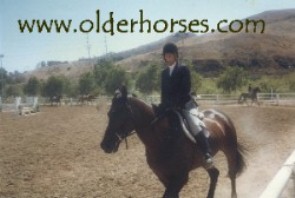 Older Horses Logo