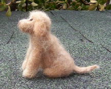 Photo of wool puppy