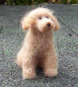 Photo of wool puppy