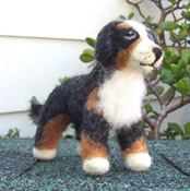 Wool Burmese Mountain dog wool pet photo