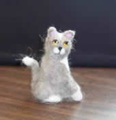 Photo of wool kitty