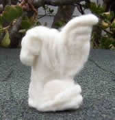 Photo of wool Pegasus