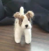 Photo of wool puppy