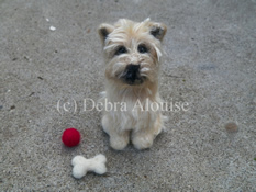 Photo of wool puppy